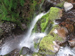 SX14490 Looking down Nant Bwrefwr river waterfall.jpg